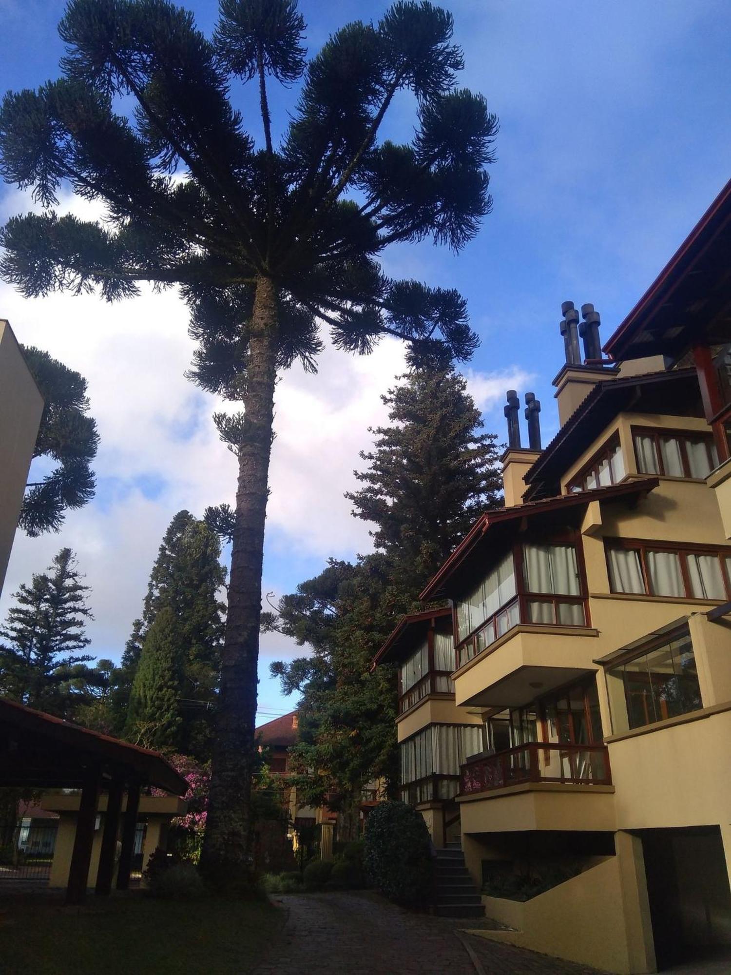 Estacao Das Hortensias, Seu Aconchego Em Gramado Apartment Luaran gambar