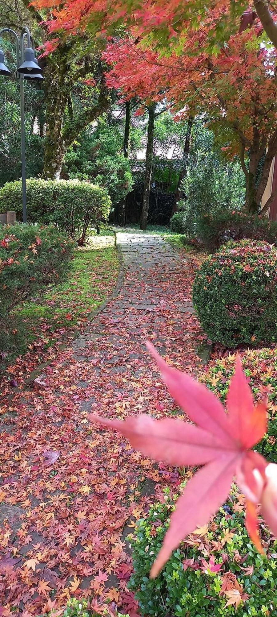 Estacao Das Hortensias, Seu Aconchego Em Gramado Apartment Luaran gambar