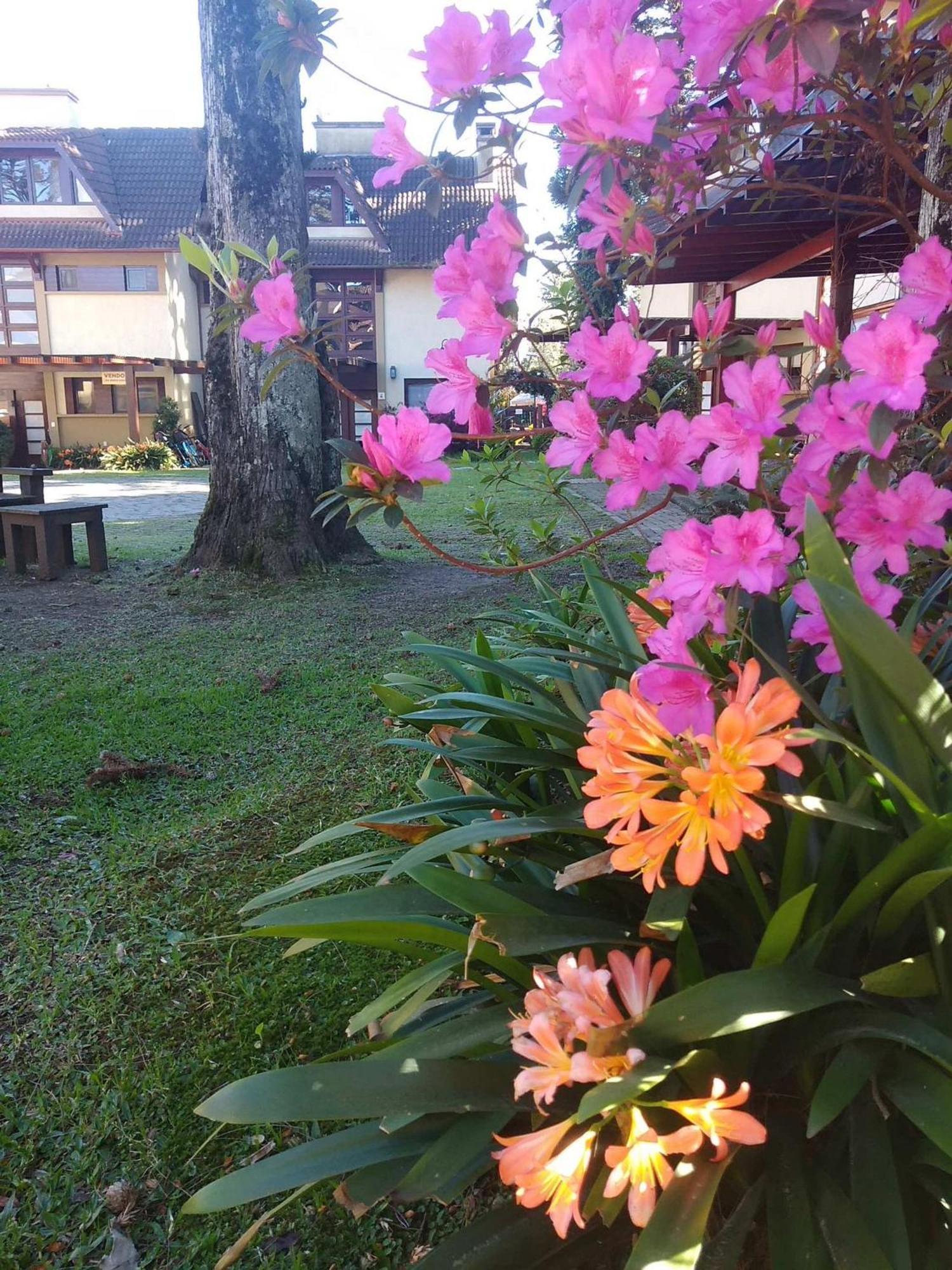 Estacao Das Hortensias, Seu Aconchego Em Gramado Apartment Luaran gambar